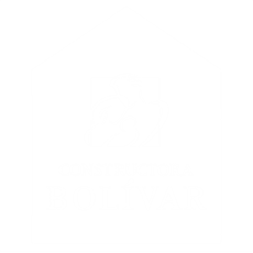 Constructora Bolívar