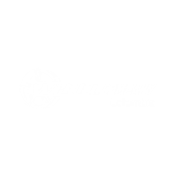 Wheel Company